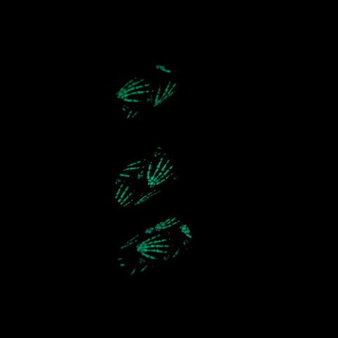 Image of Reaching Out Nail Wraps (GLOW IN THE DARK)